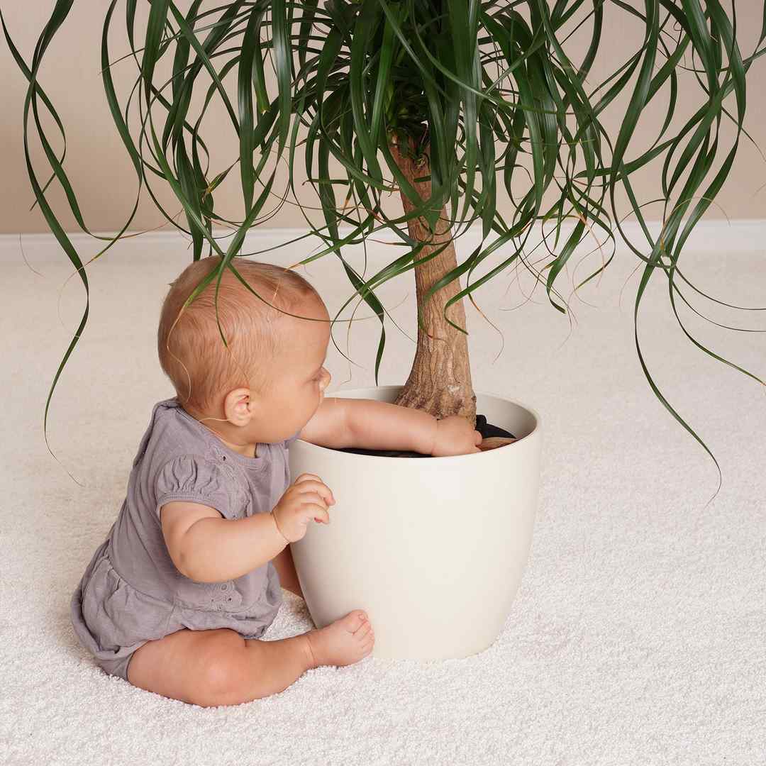 Reer Pflanzenschutznetz