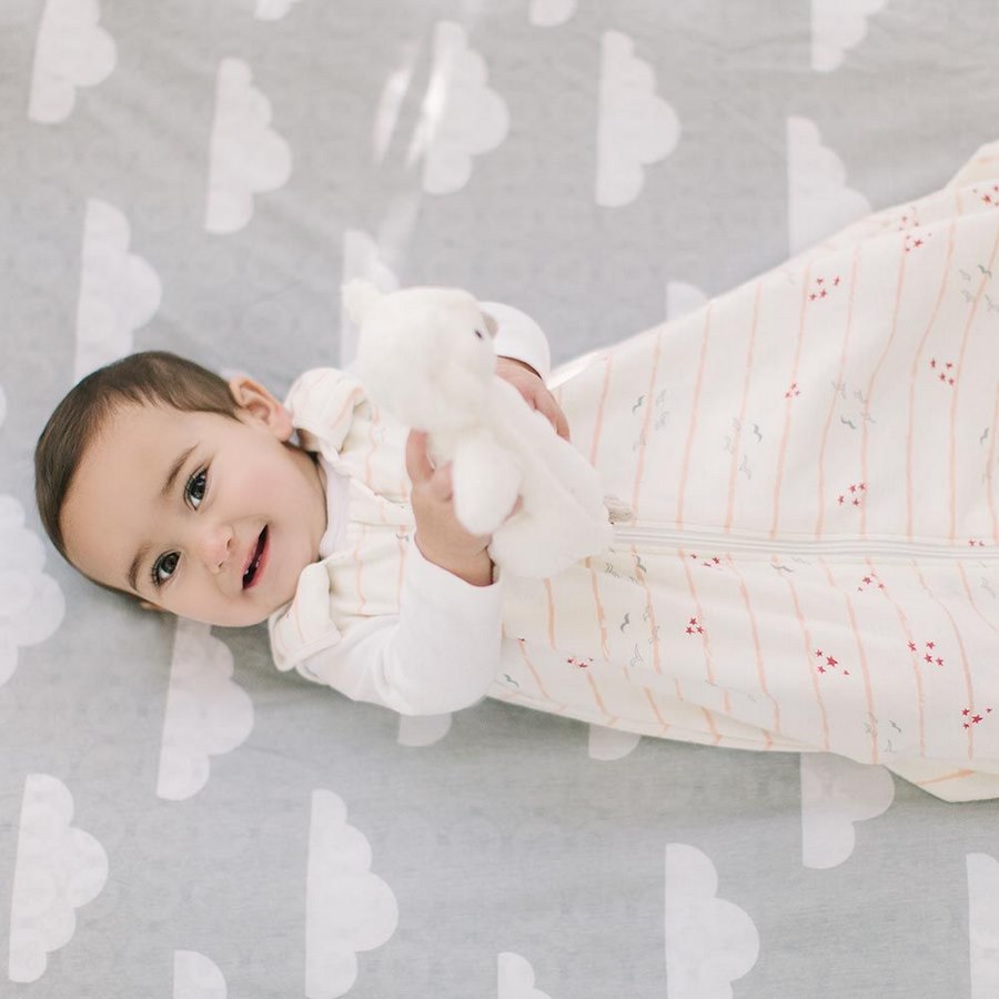 Ergobaby Baby-Schlafsack - Fly Me Away