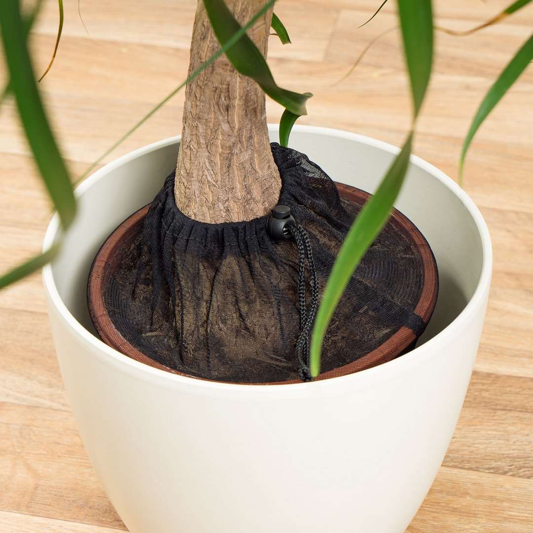 Reer Pflanzenschutznetz