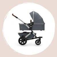 Stroller and accessories