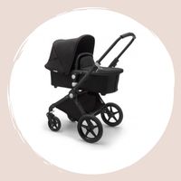 Lynx strollers and accessories